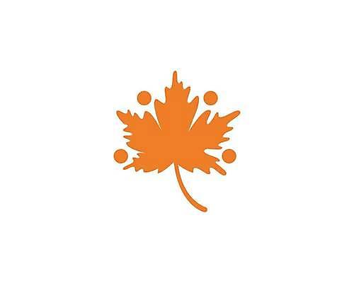 EPS 해외이미지 단풍 낙엽 잎 일러스트 사람없음 오브젝트 엘리먼트 해외일러스트 식물 파일형식 벡터 이미지허브