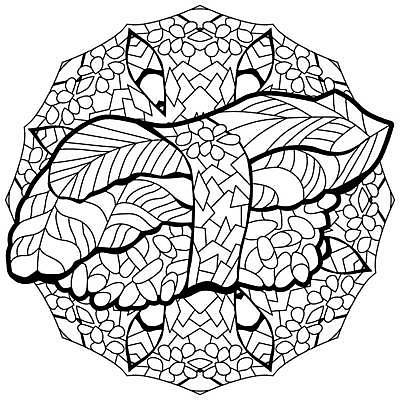 EPS 해외이미지 선 일러스트 추상 사람없음 초밥 그림 젠탱글 해외일러스트 무늬 일본음식 파일형식 벡터 이미지허브