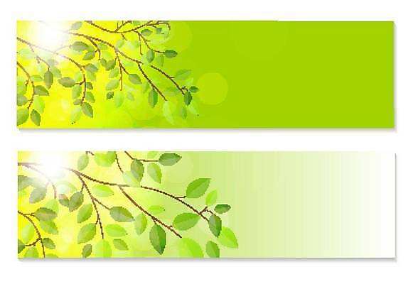 EPS 해외이미지 식물 디자인 계절 실루엣 선 백그라운드 잎 꽃무늬 패턴 오렌지 일러스트 자연 추상 프레임 미술 장식 빨간색 초록색 여름 빛 노란색 우주 흐름 가을 축하 원형 신용카드 투명 화려 황금 매끈함 9월 심볼 그림 부드러움 마법 추수감사절 10월 멀티 엘리먼트 해외일러스트 도형 꽃 기독교 컬러 컨셉 무늬 과일 문화예술 촬영기법 금융 감각 날짜 생태계 파일형식 벡터 이미지허브