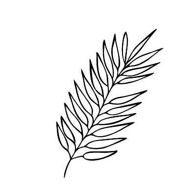 EPS 해외이미지 모양 식물 디자인 행복 실루엣 종이 백그라운드 잎 꽃무늬 패턴 일러스트 자연 추상 휴가 흑백 손바닥 미술 그래픽 장식 검은색 봄 흰색 나뭇가지 축하 직물 인사 신용카드 낙서 스케치 심볼 그림 심플 윤곽 고립 엘리먼트 이국적 스타일 해외일러스트 나무 손 계절 꽃 감정 컬러 컨셉 무늬 문화예술 촬영기법 금융 예절 생태계 파일형식 벡터 이미지허브