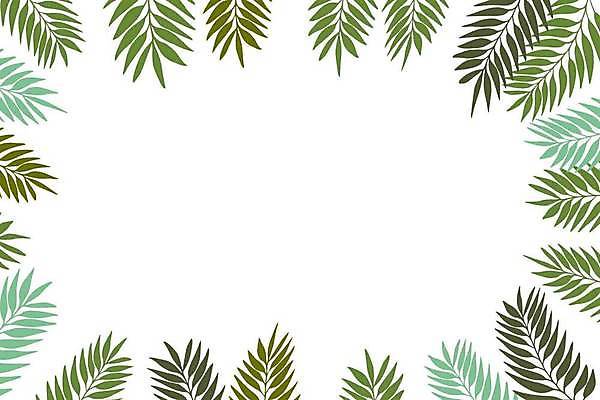 EPS 해외이미지 나무 식물 디자인 꽃 실루엣 백그라운드 잎 꽃무늬 패턴 일러스트 자연 벽지 추상 휴가 프레임 손바닥 그래픽 장식 초록색 여름 컬러풀 노란색 유행 봄 흰색 나뭇가지 신용카드 화려 스케치 그림 질감 복고 내추럴 고립 엘리먼트 이국적 스타일 국경 해외일러스트 손 계절 컬러 컨셉 무늬 촬영기법 미술 금융 생태계 파일형식 벡터 이미지허브