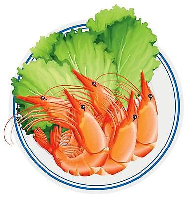 EPS 해외이미지 접시 일러스트 새우 사람없음 상추 새우요리 해외일러스트 식기 음식 채소 갑각류 파일형식 벡터 이미지허브