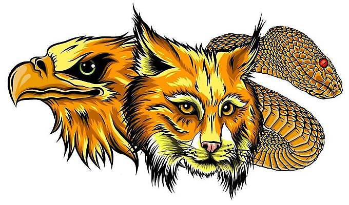 EPS 해외이미지 동물 얼굴 스포츠 일러스트 조류 고등학교 머리 고양이 미국 뱀 먹이 깃털 부리 독수리 마스코트 전국 스라소니 해외일러스트 북아메리카 포유류 학교 파충류 신체부위 반려동물 파일형식 벡터 이미지허브