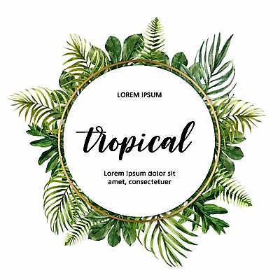 EPS 해외이미지 일러스트 나뭇잎 프레임 타이포그라피 사람없음 원형 원형프레임 열대잎 해외일러스트 도형 문자 잎 파일형식 벡터 이미지허브