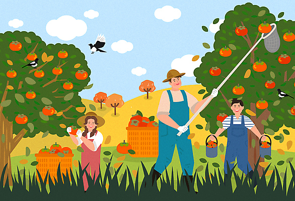 전신 나무 구름 여자 남자 어린이 일러스트 가족 하늘 나뭇잎 세마리 감 서기 미소 웃음 들기 소녀 소년 상반신 성인 세명 바구니 수확 가을 농촌 장대 농부 멜빵바지 감나무 밀짚모자 까치 농업인의날 국내일러스트 AI파일 자연요소 식물 직업 모자_잡화 계절 기념일 잎 농업 과일 바지 관계 모션 조류 표정 3 사람 시골 멜빵 파일형식 벡터