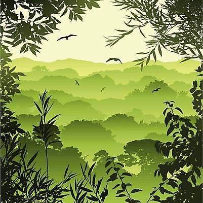 EPS 해외이미지 나무 잎 여러마리 일러스트 조류 사람없음 초록색 나뭇가지 숲 해외일러스트 식물 동물 컬러 다수 파일형식 벡터 이미지허브