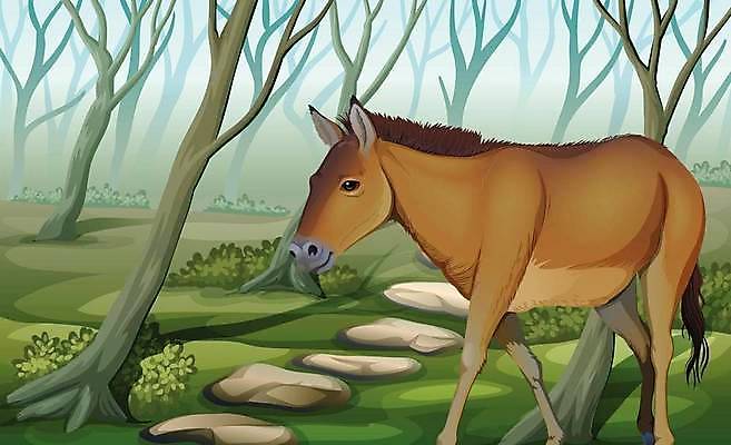 EPS 해외이미지 나무 식물 동물 과학 일러스트 포유류 자연 그래픽 갈색 힘 나뭇가지 잡초 숲 그림 응답 초식 해외일러스트 컬러 생태계 파일형식 벡터 이미지허브