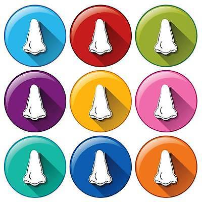 EPS 해외이미지 일러스트 사람없음 세트 컬러풀 원형 코 해외일러스트 도형 컬러 신체부위 파일형식 벡터 이미지허브