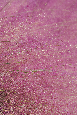 포토 JPG 주간 분홍색 자연 사람없음 야외 가을풍경 가을 가득함 경기도 여러해살이풀 핑크뮬리 의왕 국내포토 자연요소 식물 계절 컬러 한국 풍경 풀_식물 생태계 파일형식 가을_계절