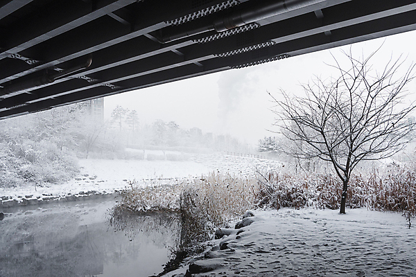 포토 JPG 주간 나무 공원 설경 겨울 사람없음 야외 강 추위 눈 다리밑 겨울풍경 눈덮임 국내포토 자연요소 식물 계절 공공시설 컨셉 날씨 풍경 다리_건축물 아래 파일형식