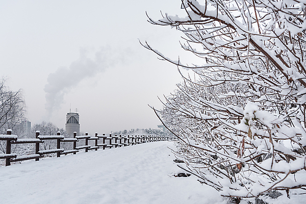 포토 JPG 주간 공원 설경 겨울 눈꽃 사람없음 야외 추위 눈 겨울풍경 눈덮임 국내포토 자연요소 계절 공공시설 컨셉 날씨 눈_날씨 풍경 파일형식