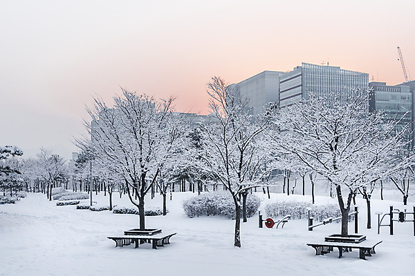 포토 JPG 주간 나무 공원 설경 겨울 벤치 하늘 빌딩 사람없음 야외 건물 추위 눈 도시 관목 겨울풍경 눈덮임 국내포토 자연요소 식물 건축물 계절 공공시설 컨셉 의자 날씨 풍경 파일형식