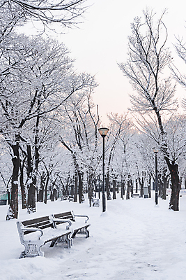 포토 JPG 주간 나무 공원 설경 겨울 가로등 벤치 하늘 사람없음 야외 산책로 추위 눈 겨울풍경 눈덮임 국내포토 자연요소 식물 계절 공공시설 길 컨셉 의자 날씨 풍경 파일형식