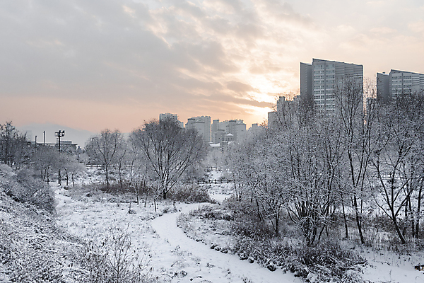 포토 JPG 주간 나무 구름 공원 설경 겨울 하늘 빌딩 사람없음 야외 건물 산책로 추위 눈 도시 겨울풍경 눈덮임 국내포토 자연요소 식물 건축물 계절 공공시설 길 컨셉 날씨 풍경 파일형식