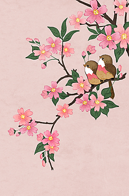 PSD 분홍색 잎 두마리 일러스트 조류 사람없음 벚꽃 나뭇가지 쌍 벚나무 동양화 민화 화조화 국내일러스트 나무 식물 동물 꽃 컬러 2 미술 그림 파일형식