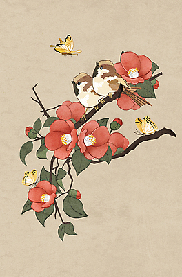 PSD 나비 여러마리 일러스트 조류 사람없음 갈색 나뭇가지 동양화 동백 동백나무 민화 국내일러스트 나무 동물 꽃 컬러 다수 곤충 미술 그림 파일형식