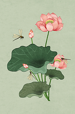 PSD 일러스트 연꽃 세마리 사람없음 연두색 잠자리 동양화 연잎 꽃봉오리 민화 초충도 국내일러스트 꽃 곤충 잎 3 미술 초록색 그림 파일형식