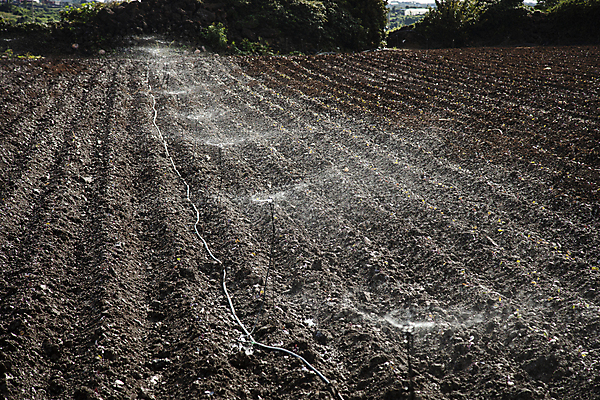 포토 JPG 주간 풍경 사람없음 야외 제주도 농경지 경작 농사 물뿌리기 스프링쿨러 황토 국내포토 자연요소 농업 모션 한국 농장 흙 파일형식