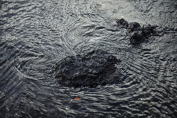 포토 JPG 주간 물결 바다 풍경 사람없음 야외 제주도 바위 국내포토 자연요소 한국 돌_바위 파일형식