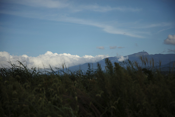 포토 JPG 주간 구름 자연 하늘 풍경 초원 사람없음 야외 제주도 맑음 풀 산봉우리 한라산 국내포토 자연요소 식물 날씨 산 한국 생태계 봉우리 파일형식