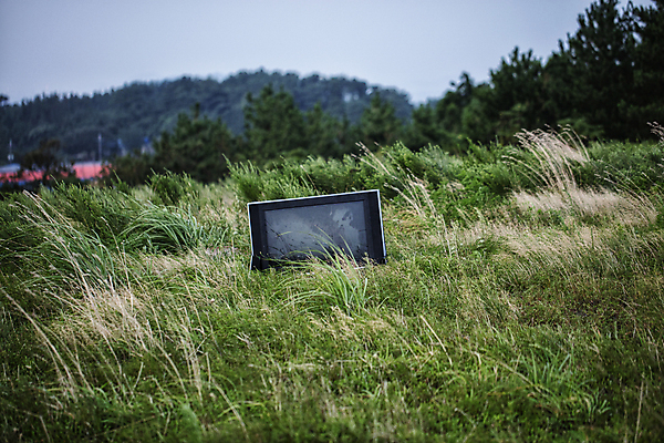 포토 JPG 주간 하늘 바람 풍경 사람없음 야외 제주도 텔레비전 풀 버리기 언덕 국내포토 자연요소 식물 모션 날씨 한국 전자제품 파일형식