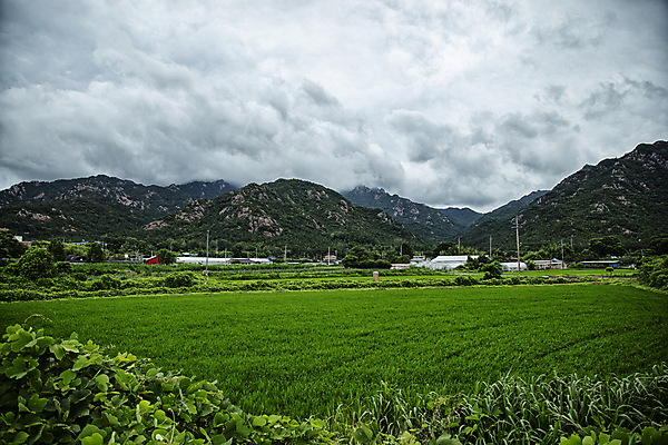 포토 JPG 주간 구름 풍경 사람없음 야외 건물 농경지 농촌 풀 돌산 전라남도 흐림 논밭 국내포토 자연요소 식물 건축물 밭 날씨 산 논 농장 시골 전라도 파일형식