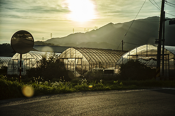 포토 JPG 주간 산 풍경 사람없음 야외 햇빛 일몰 농촌 역광 강원도 비닐하우스 반사경 아스팔트길 국내포토 자연요소 길 농업 한국 태양 노을 시골 파일형식
