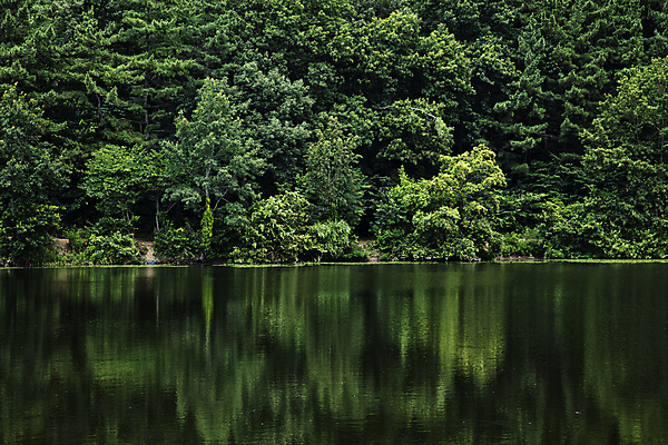 포토 JPG 주간 나무 호수 풍경 사람없음 야외 여름 반사 평화 경상북도 울창 국내포토 자연요소 식물 계절 컨셉 자연 경상도 파일형식