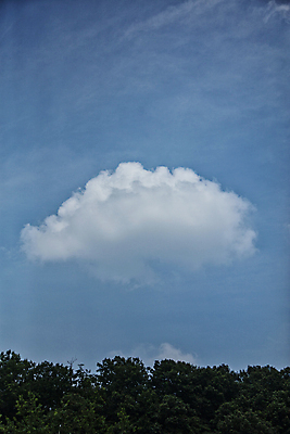 포토 JPG 주간 구름 하늘 나뭇잎 풍경 사람없음 야외 부드러움 경기도 수원 국내포토 자연요소 잎 한국 감각 파일형식