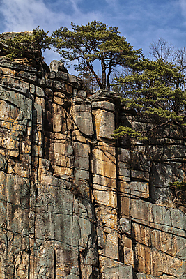 포토 JPG 주간 하늘 풍경 사람없음 야외 바위 소나무 충청북도 단양 단양팔경 명승지 웅장함 사인암 국내포토 자연요소 나무 돌_바위 충청도 파일형식