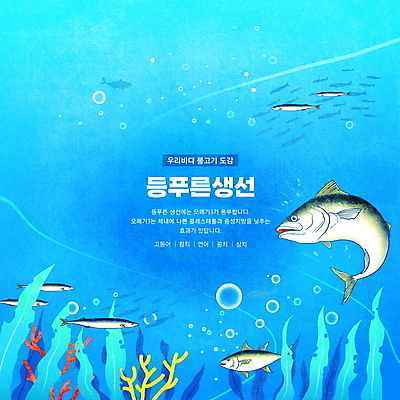 PSD 바다 하늘색 여러마리 일러스트 한국 어류 타이포그라피 사람없음 바닷속 해조류 산호초 참치 공기방울 연어 고등어 꽁치 등푸른생선 삼치 영양소 물고기떼 동물도감 국내일러스트 문자 아시아 다수 파란색 수중 수중동물 수중식물 해양식물 파일형식