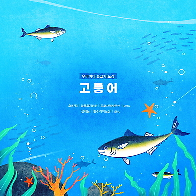 PSD 바다 하늘색 일러스트 불가사리 한국 세마리 어류 타이포그라피 사람없음 바닷속 바위 해조류 산호초 공기방울 고등어 영양소 물고기떼 동물도감 국내일러스트 문자 아시아 극피동물 3 파란색 수중 수중동물 돌_바위 수중식물 해양식물 파일형식