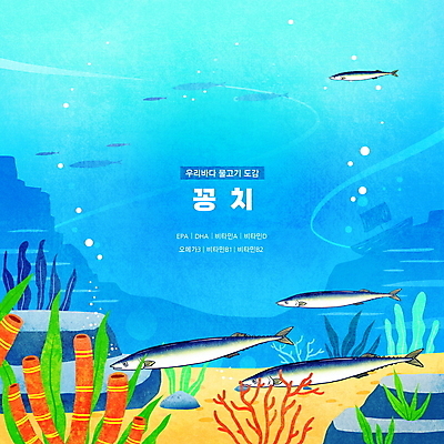 PSD 바다 하늘색 여러마리 일러스트 한국 타이포그라피 사람없음 바닷속 바위 해조류 산호초 공기방울 난파선 꽁치 영양소 동물도감 국내일러스트 문자 아시아 다수 배_교통 어류 파란색 수중 돌_바위 수중식물 해양식물 파일형식