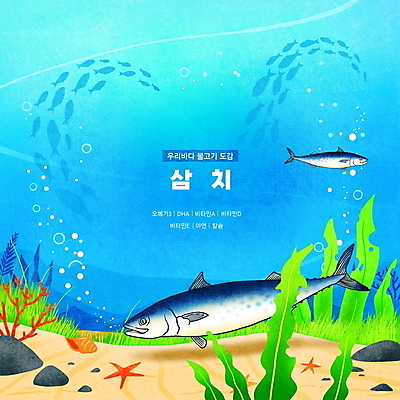 PSD 바다 하늘색 두마리 일러스트 불가사리 한국 어류 타이포그라피 사람없음 바닷속 바위 해조류 산호초 소라 공기방울 삼치 영양소 물고기떼 동물도감 국내일러스트 문자 아시아 2 어패류 극피동물 파란색 수중 수중동물 돌_바위 수중식물 해양식물 파일형식