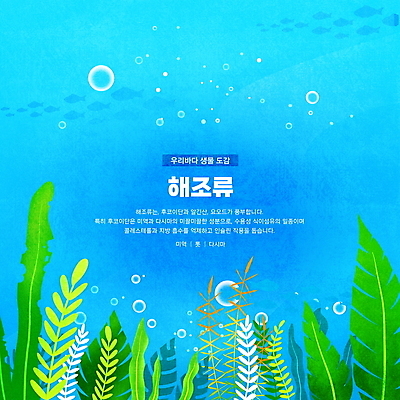 PSD 바다 하늘색 일러스트 한국 어류 타이포그라피 사람없음 바닷속 해조류 공기방울 미역 다시마 영양소 톳 물고기떼 국내일러스트 문자 아시아 파란색 수중 수중동물 해양식물 파일형식