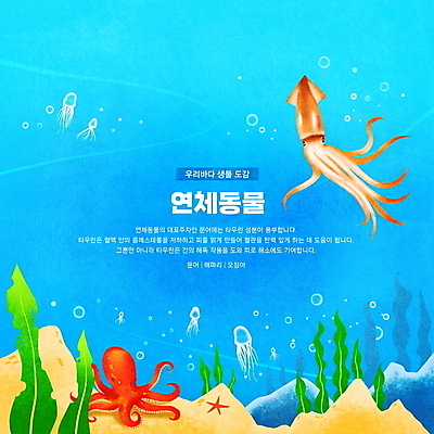 PSD 바다 하늘색 여러마리 일러스트 연체동물 한국 타이포그라피 사람없음 바닷속 해조류 공기방울 오징어 문어 해파리 영양소 동물도감 국내일러스트 문자 아시아 다수 무척추동물 파란색 수중 수중동물 해양식물 자포동물 파일형식