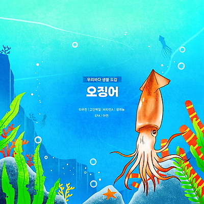 PSD 한마리 바다 하늘색 일러스트 불가사리 한국 타이포그라피 사람없음 바닷속 바위 해조류 산호초 공기방울 오징어 영양소 동물도감 국내일러스트 문자 1 아시아 극피동물 연체동물 파란색 수중 수중동물 돌_바위 수중식물 해양식물 파일형식