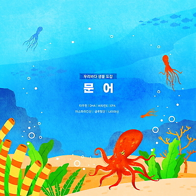 PSD 바다 하늘색 일러스트 한국 세마리 어류 타이포그라피 사람없음 바닷속 바위 해조류 산호초 공기방울 문어 영양소 물고기떼 동물도감 국내일러스트 문자 아시아 연체동물 3 파란색 수중 수중동물 돌_바위 수중식물 해양식물 파일형식