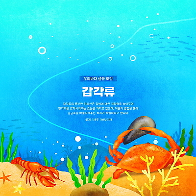 PSD 바다 하늘색 두마리 일러스트 한국 갑각류 어류 타이포그라피 사람없음 바닷속 꽃게 잡기 해조류 산호초 바닷가재 공기방울 영양소 키조개 물고기떼 동물도감 국내일러스트 동물 문자 아시아 2 모션 조개 파란색 수중 수중동물 게 수중식물 해양식물 가재 파일형식