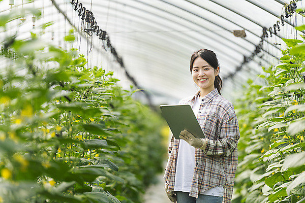 포토 JPG 주간 응시 여자 실내 관리 한명 미소 들기 상반신 20대 성인 옆모습 아웃포커스 태블릿 농사 한국인 가을 농촌 농부 소프트포커스 귀농 비닐하우스 전원생활 오이밭 성인여자한명만 스마트팜 국내포토 여주시 자연요소 직업 1 시선 계절 뷰포인트 밭 농업 모션 촬영기법 표정 사람 동양인 청년 내부 생활 전자제품 스마트기기 농장 시골 경기도 여자한명만 성인여자만 파일형식
