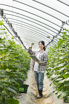 포토 JPG 주간 전신 응시 여자 실내 관리 한명 서기 미소 들기 20대 성인 옆모습 태블릿 바구니 농사 파이팅 주먹 한국인 가을 농촌 농부 귀농 비닐하우스 전원생활 오이밭 성인여자한명만 스마트팜 국내포토 여주시 자연요소 직업 1 시선 계절 뷰포인트 밭 농업 모션 표정 사람 동양인 청년 내부 생활 전자제품 스마트기기 농장 시골 경기도 여자한명만 성인여자만 파일형식
