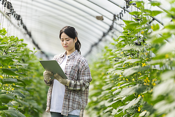 포토 JPG 주간 응시 여자 실내 한명 들기 상반신 20대 성인 옆모습 아웃포커스 태블릿 농사 한국인 가을 농촌 찡그림 농부 소프트포커스 걱정 귀농 비닐하우스 전원생활 오이밭 성인여자한명만 스마트팜 국내포토 여주시 자연요소 직업 1 시선 계절 감정 뷰포인트 밭 농업 모션 촬영기법 표정 사람 동양인 청년 내부 생활 전자제품 스마트기기 농장 시골 경기도 여자한명만 성인여자만 파일형식