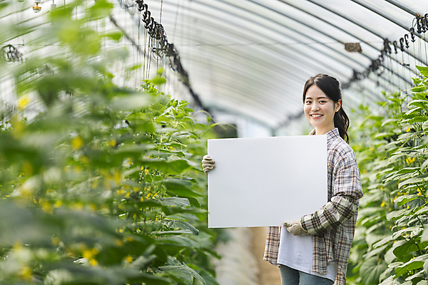 포토 JPG 주간 배너 응시 여자 사각프레임 실내 한명 미소 들기 상반신 20대 성인 옆모습 아웃포커스 농사 한국인 가을 농촌 농부 소프트포커스 귀농 비닐하우스 전원생활 오이밭 성인여자한명만 국내포토 여주시 자연요소 직업 1 시선 계절 뷰포인트 밭 농업 모션 프레임 촬영기법 표정 사람 동양인 청년 내부 생활 사각형 시골 경기도 여자한명만 성인여자만 파일형식