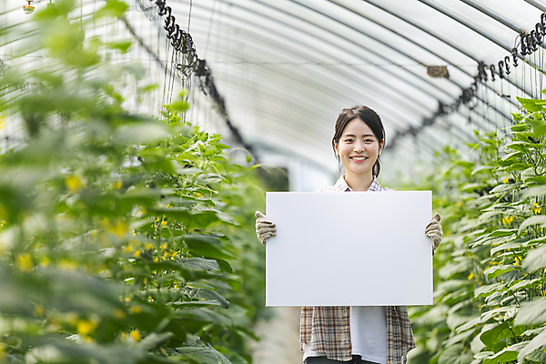 포토 JPG 주간 배너 응시 여자 사각프레임 실내 한명 미소 들기 상반신 20대 성인 아웃포커스 농사 한국인 가을 농촌 농부 소프트포커스 귀농 비닐하우스 전원생활 오이밭 성인여자한명만 국내포토 여주시 자연요소 직업 1 시선 계절 밭 농업 모션 프레임 촬영기법 표정 사람 동양인 청년 내부 생활 사각형 시골 경기도 여자한명만 성인여자만 파일형식