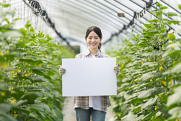 포토 JPG 주간 배너 응시 여자 사각프레임 실내 한명 미소 들기 상반신 20대 성인 앞모습 아웃포커스 농사 한국인 가을 농촌 농부 귀농 비닐하우스 전원생활 오이밭 성인여자한명만 국내포토 여주시 자연요소 직업 1 시선 계절 뷰포인트 밭 농업 모션 프레임 촬영기법 표정 사람 동양인 청년 내부 생활 사각형 시골 경기도 여자한명만 성인여자만 파일형식