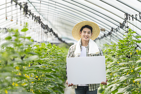 포토 JPG 주간 배너 응시 남자 사각프레임 실내 한명 미소 들기 상반신 20대 성인 앞모습 아웃포커스 농사 한국인 가을 농촌 농부 소프트포커스 밀짚모자 귀농 비닐하우스 전원생활 오이밭 성인남자한명만 국내포토 여주시 자연요소 직업 모자_잡화 1 시선 계절 뷰포인트 밭 농업 모션 프레임 촬영기법 표정 사람 동양인 청년 내부 생활 사각형 시골 경기도 남자한명만 성인남자만 파일형식