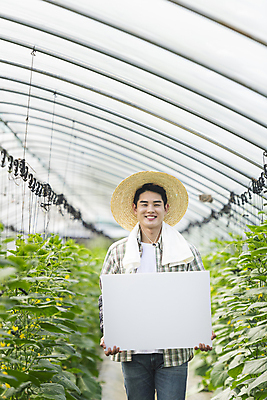 포토 JPG 주간 배너 응시 남자 사각프레임 실내 한명 미소 들기 상반신 20대 성인 앞모습 아웃포커스 농사 한국인 가을 농촌 농부 밀짚모자 귀농 비닐하우스 전원생활 오이밭 성인남자한명만 국내포토 여주시 자연요소 직업 모자_잡화 1 시선 계절 뷰포인트 밭 농업 모션 프레임 촬영기법 표정 사람 동양인 청년 내부 생활 사각형 시골 경기도 남자한명만 성인남자만 파일형식