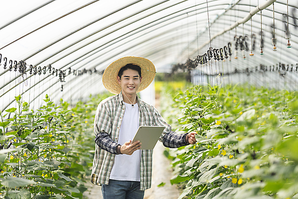 포토 JPG 주간 응시 남자 실내 관리 한명 미소 들기 상반신 20대 성인 앞모습 아웃포커스 태블릿 농사 만지기 한국인 가을 농촌 농부 소프트포커스 밀짚모자 귀농 비닐하우스 전원생활 오이밭 성인남자한명만 스마트팜 국내포토 여주시 자연요소 직업 모자_잡화 1 시선 계절 뷰포인트 밭 농업 모션 촬영기법 표정 사람 동양인 청년 내부 생활 전자제품 스마트기기 농장 시골 경기도 남자한명만 성인남자만 파일형식