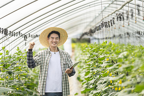 포토 JPG 주간 응시 남자 실내 한명 미소 들기 상반신 20대 성인 앞모습 아웃포커스 태블릿 농사 파이팅 주먹 한국인 가을 농촌 농부 귀농 비닐하우스 전원생활 오이밭 성인남자한명만 스마트팜 국내포토 여주시 자연요소 직업 1 시선 계절 뷰포인트 밭 농업 모션 촬영기법 표정 사람 동양인 청년 내부 생활 전자제품 스마트기기 농장 시골 경기도 남자한명만 성인남자만 파일형식
