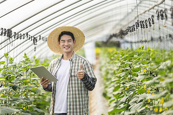 포토 JPG 주간 남자 실내 한명 미소 들기 상반신 20대 성인 앞모습 아웃포커스 태블릿 농사 한국인 가을 농촌 최고 농부 밀짚모자 귀농 따봉 비닐하우스 전원생활 오이밭 성인남자한명만 스마트팜 국내포토 여주시 자연요소 직업 모자_잡화 1 계절 뷰포인트 밭 농업 모션 촬영기법 표정 사람 동양인 청년 내부 생활 전자제품 스마트기기 농장 시골 경기도 남자한명만 성인남자만 파일형식